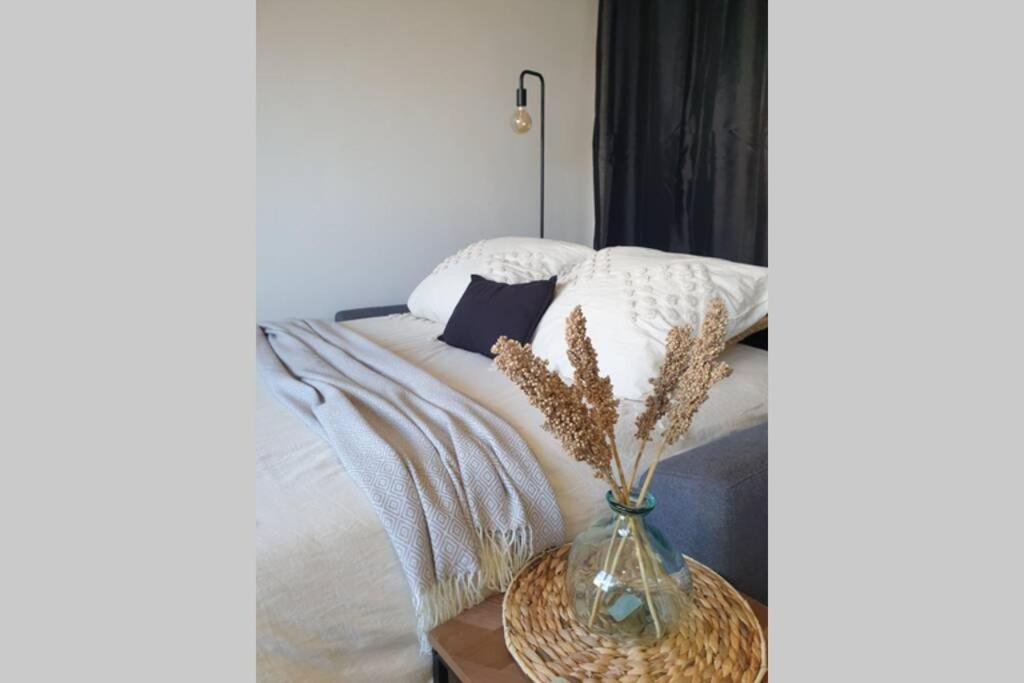 Studio Cosy En Bord De Mer ダンケルク エクステリア 写真